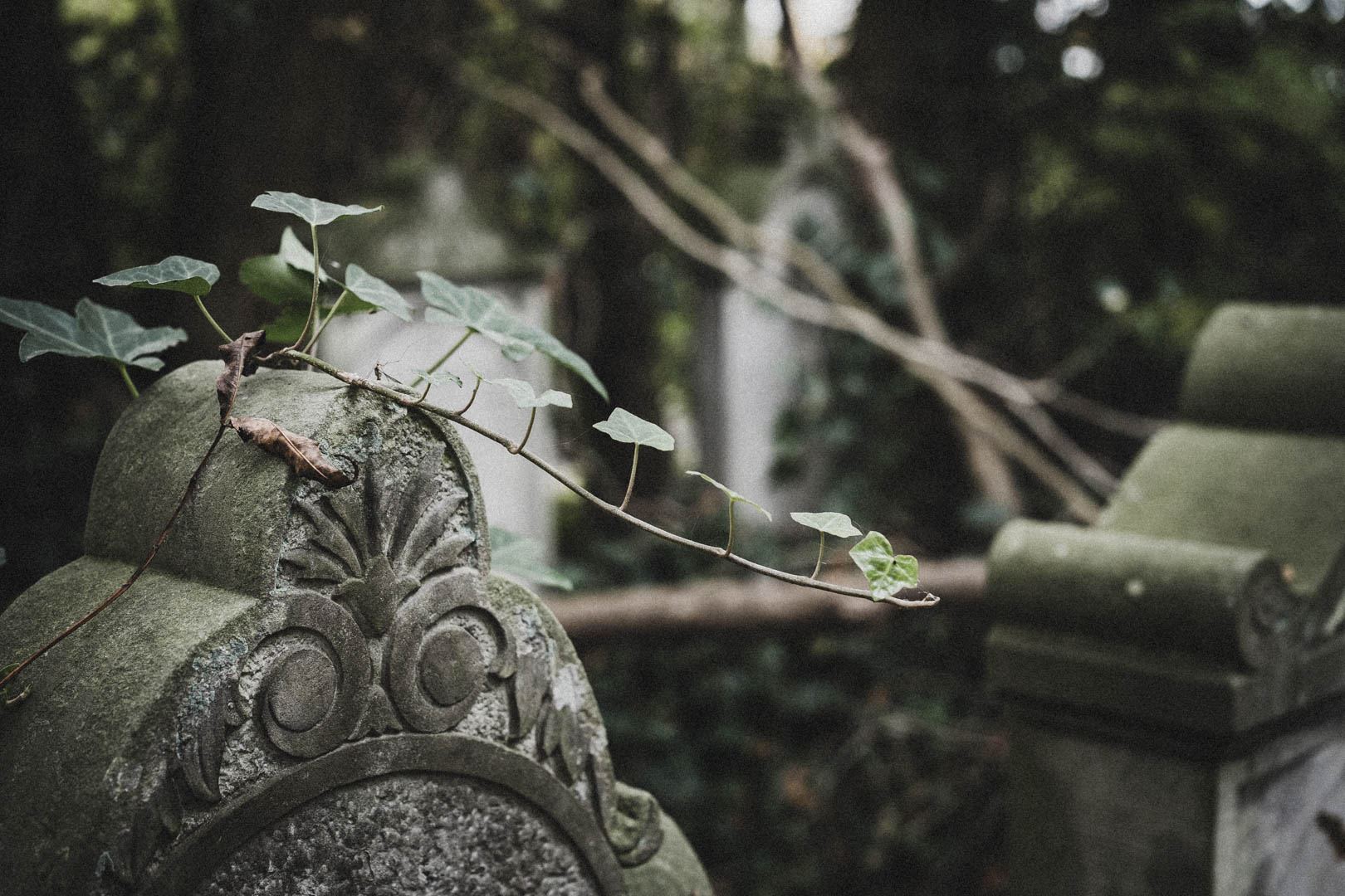 Jever, Jüdischer Friedhof